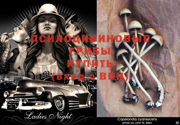 кокс Абдулино