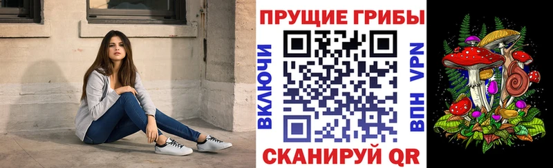 наркошоп  Александровск  kraken маркетплейс  Псилоцибиновые грибы мухоморы 